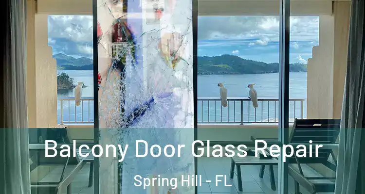  Balcony Door Glass Repair Spring Hill - FL