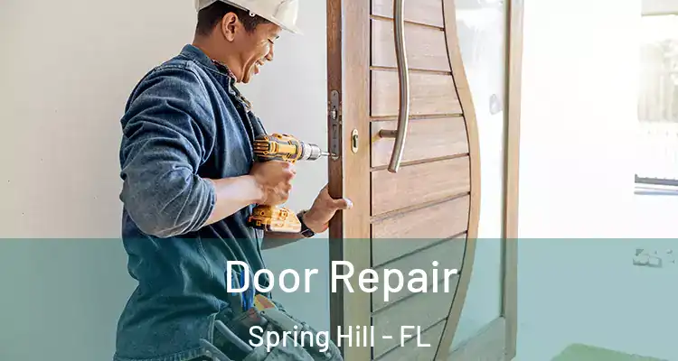  Door Repair Spring Hill - FL
