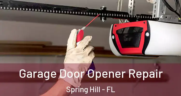 Garage Door Opener Repair Spring Hill - FL