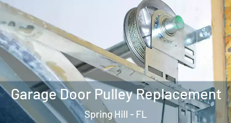  Garage Door Pulley Replacement Spring Hill - FL