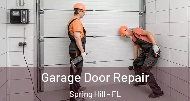  Garage Door Repair Spring Hill - FL