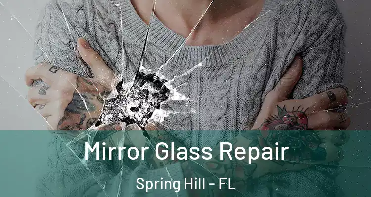  Mirror Glass Repair Spring Hill - FL