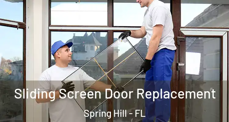 Sliding Screen Door Replacement Spring Hill - FL