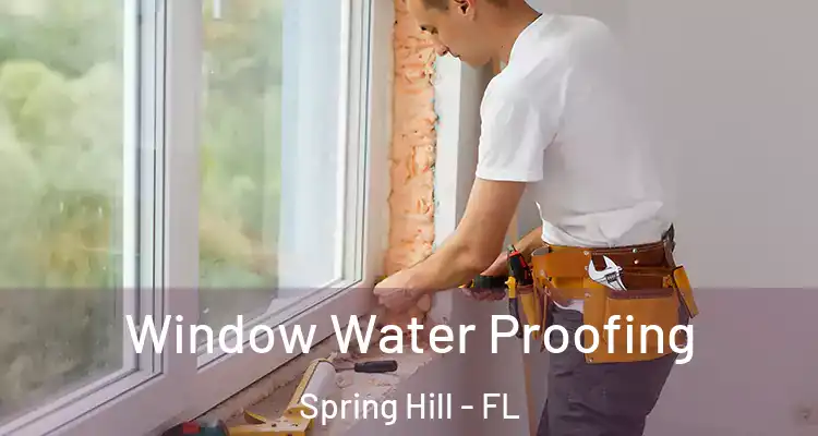  Window Water Proofing Spring Hill - FL